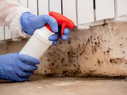 Best Crawl Space Mold Remediation  in Hollywood, FL